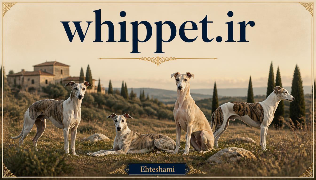 whippet.ir