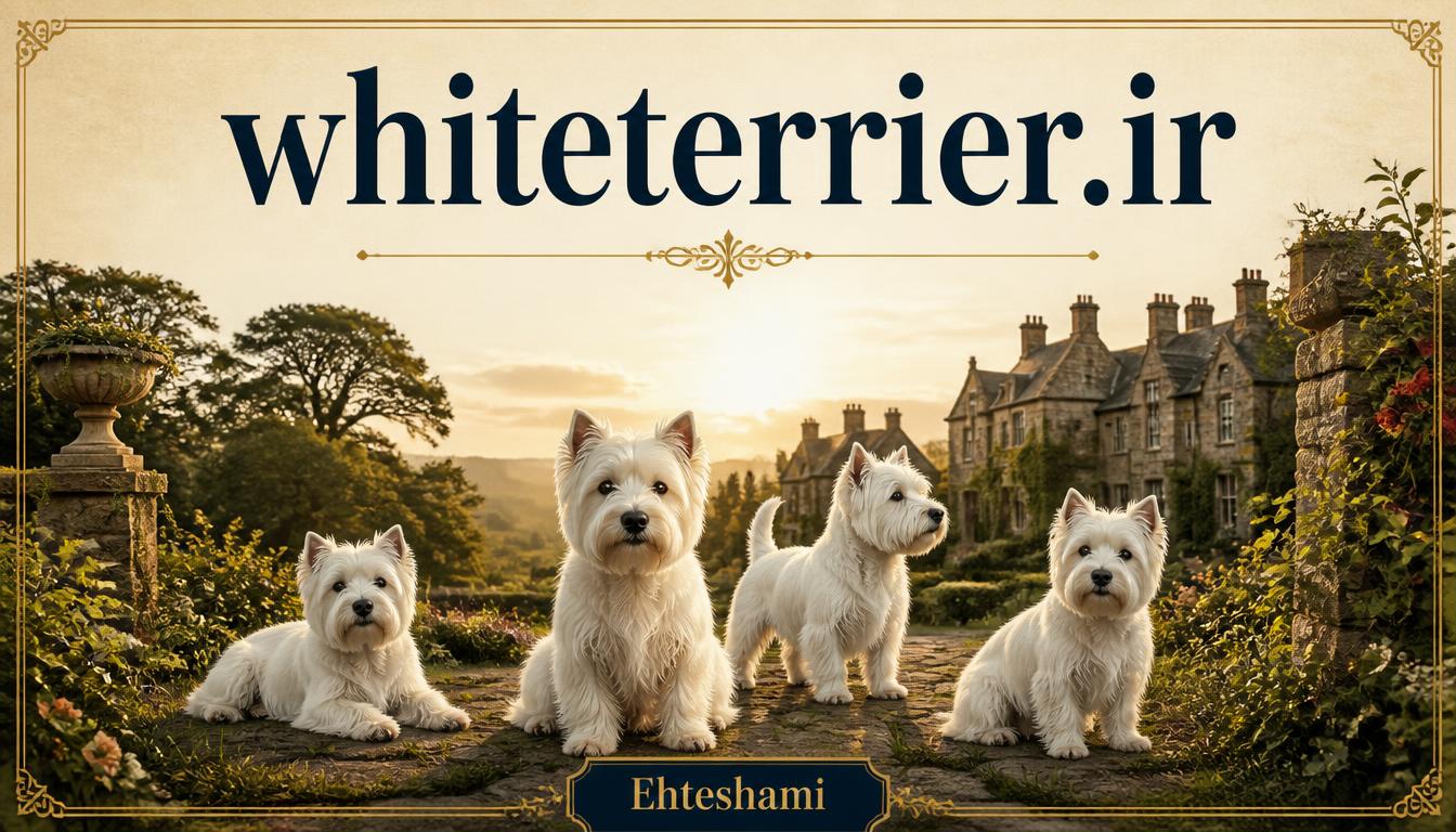 whiteterrier.ir